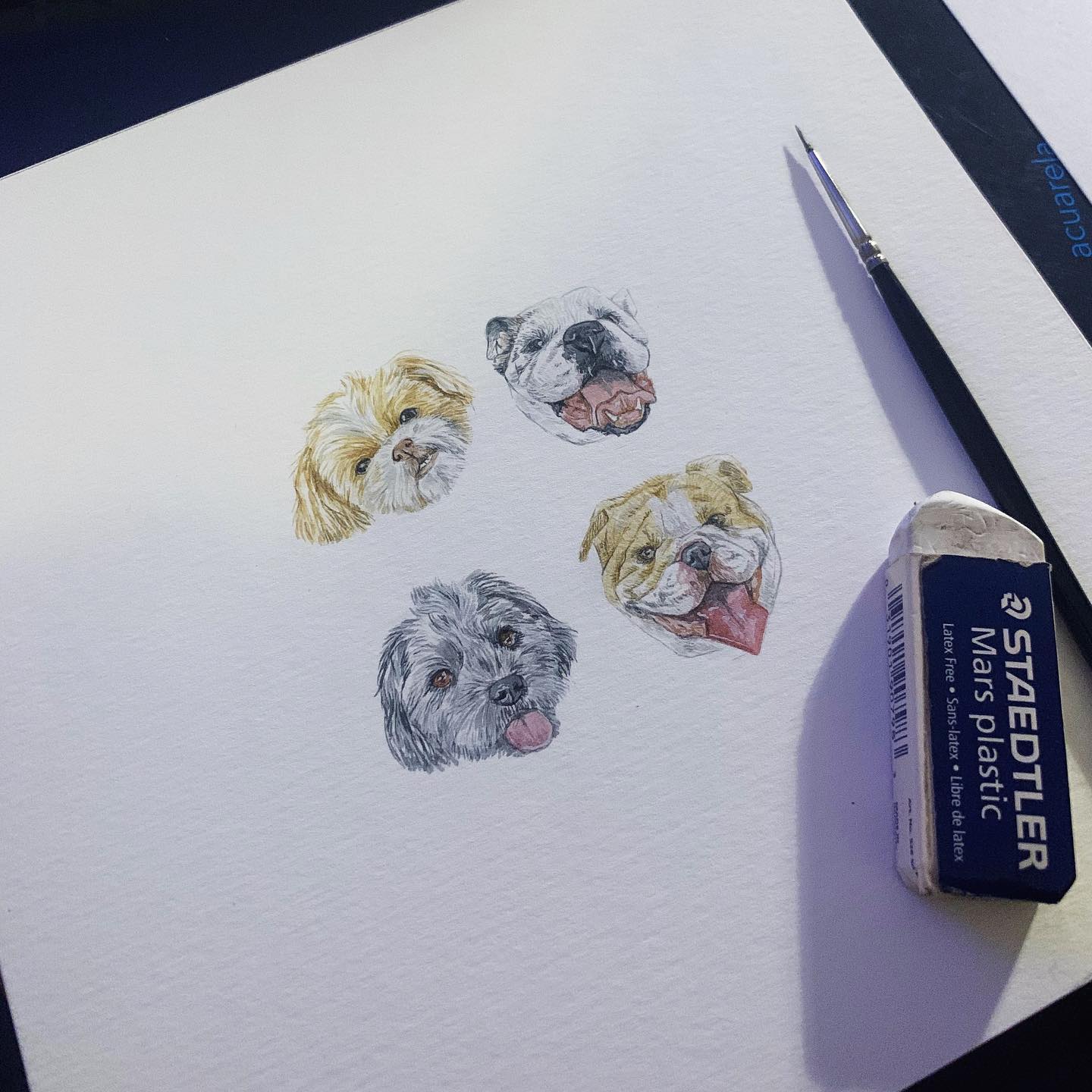 Custom Pet Portrait (Four Pets)