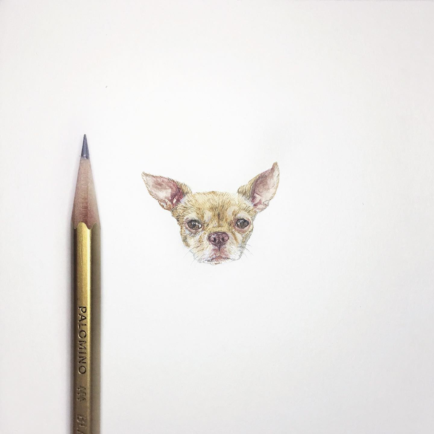 Custom Miniature Pet Portraits (Single)