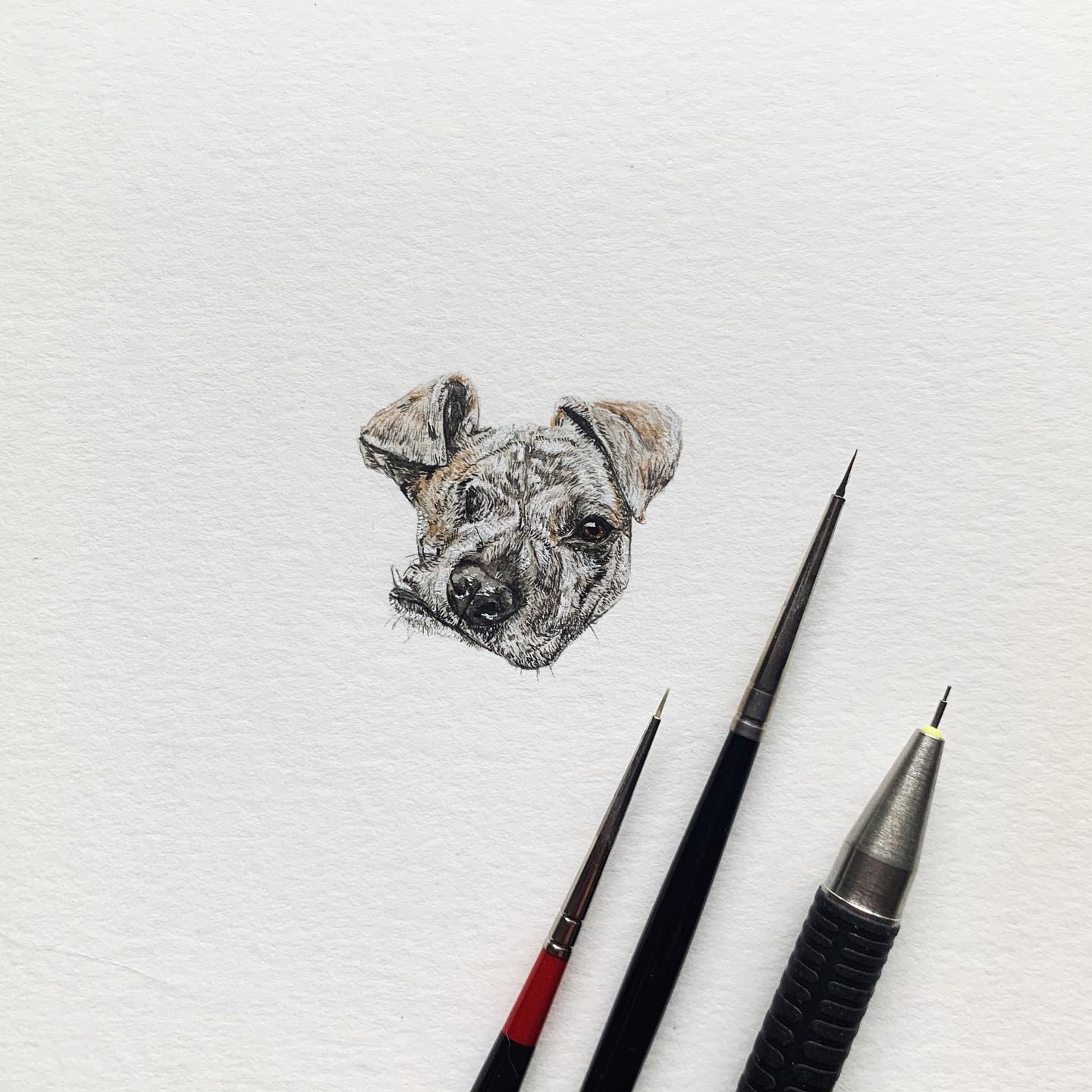 Custom Miniature Pet Portraits (Single)