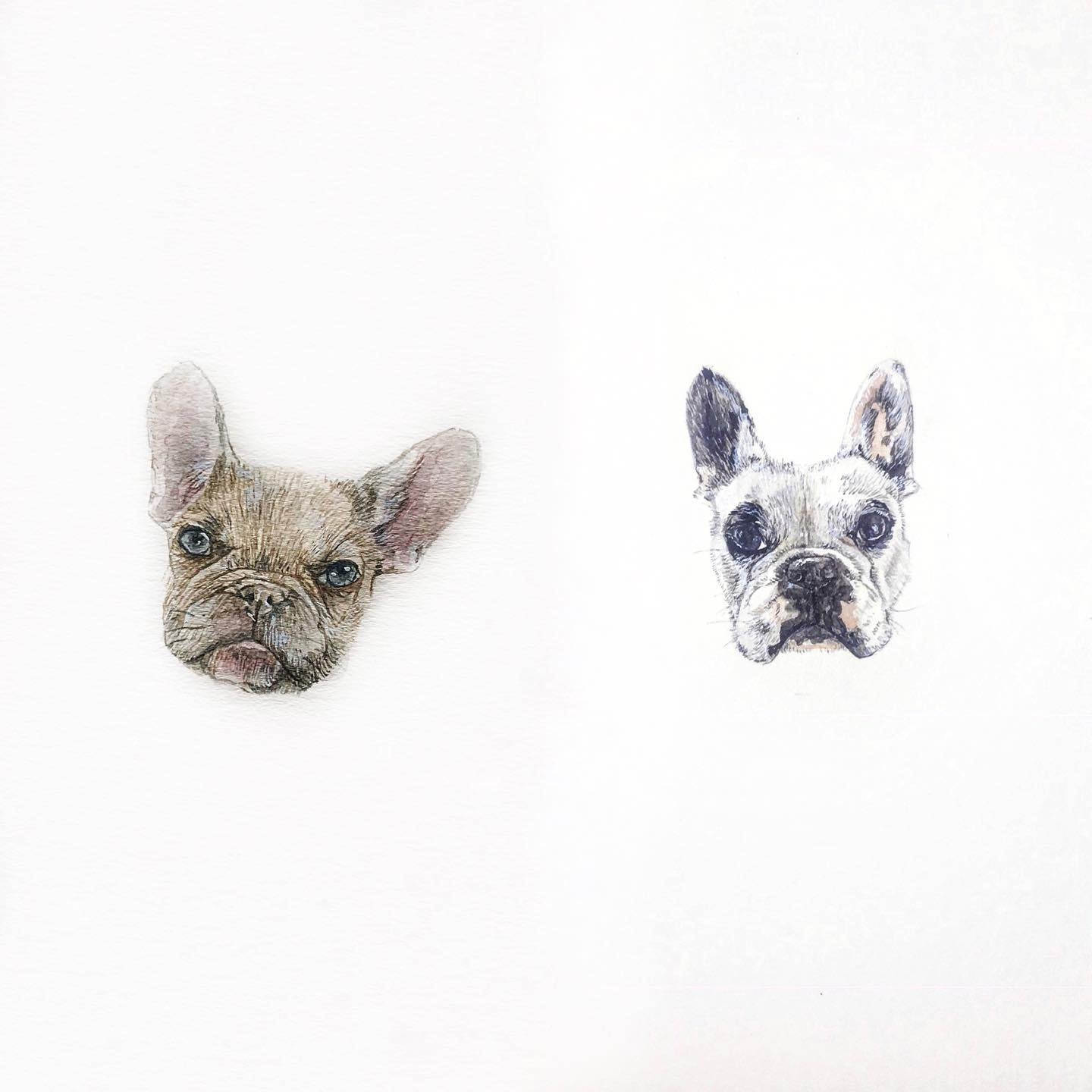 Custom Miniature Pet Portraits (Double Pet)