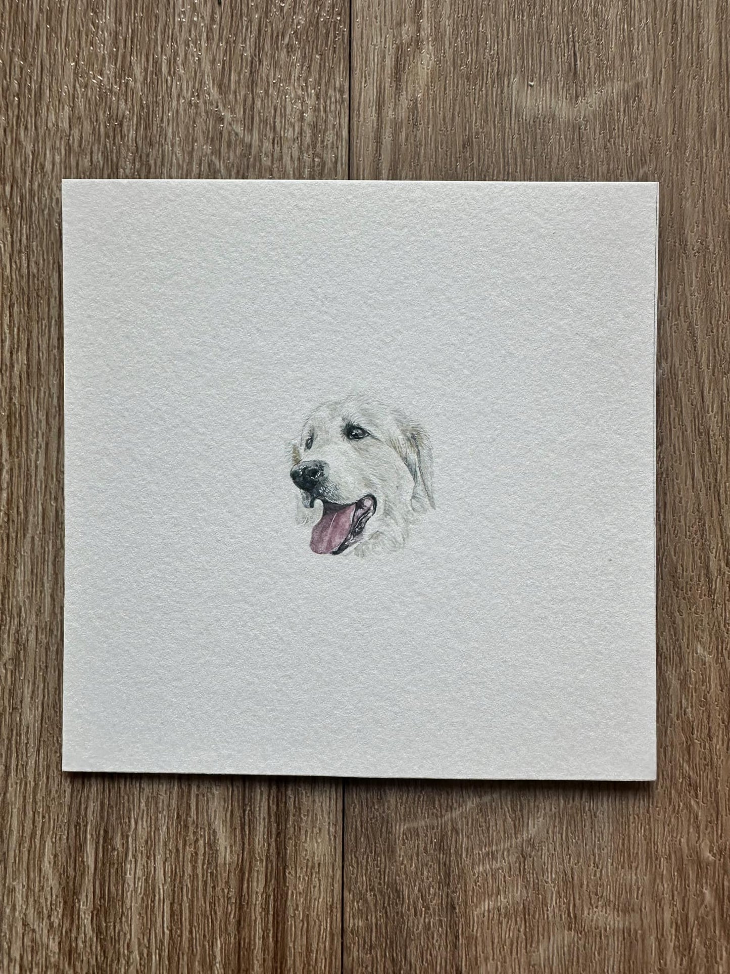Custom Miniature Pet Portraits (Single)